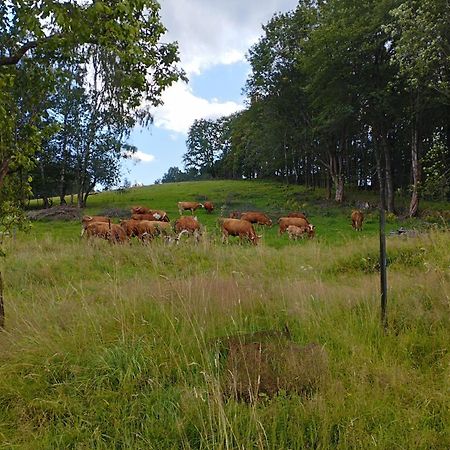 Zimmeruv Statek Mikulášovice エクステリア 写真