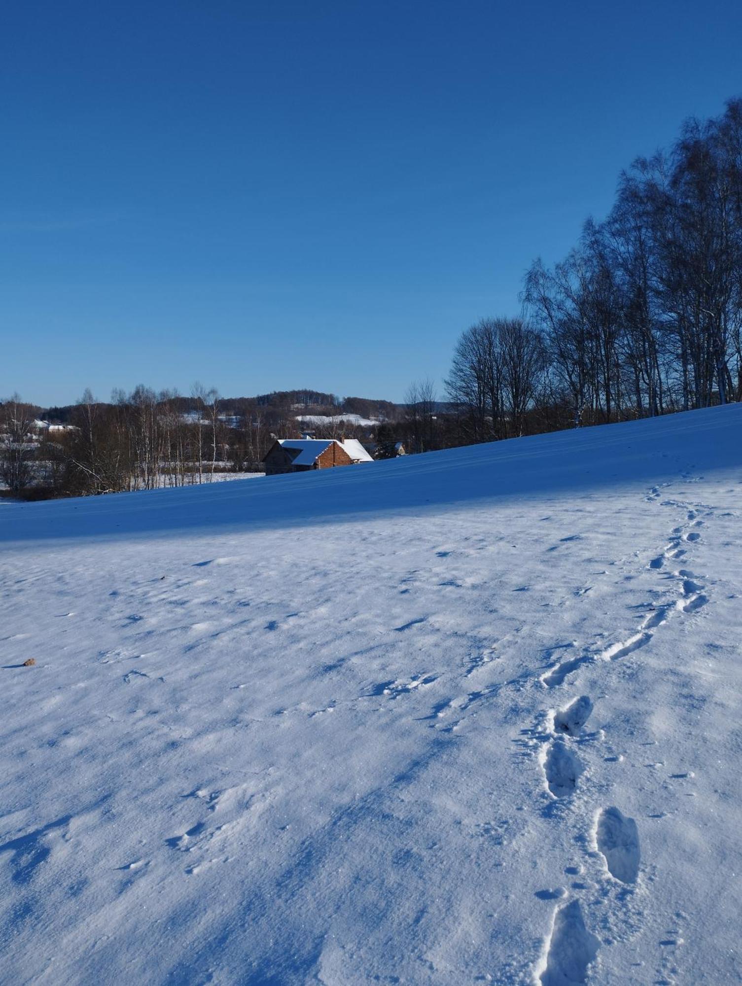 Zimmeruv Statek Mikulášovice エクステリア 写真