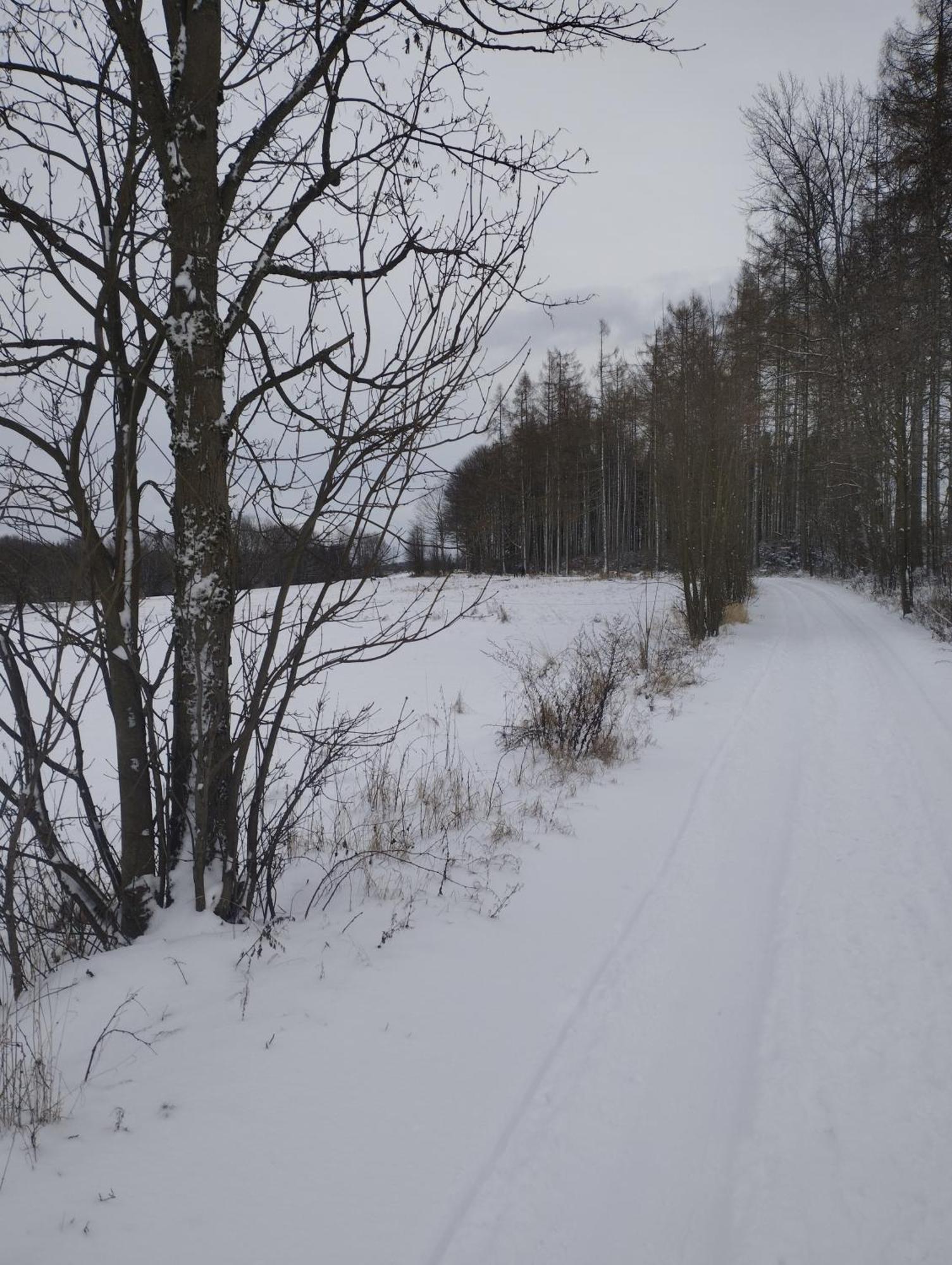 Zimmeruv Statek Mikulášovice エクステリア 写真